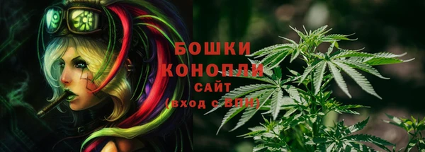 стафф Липки